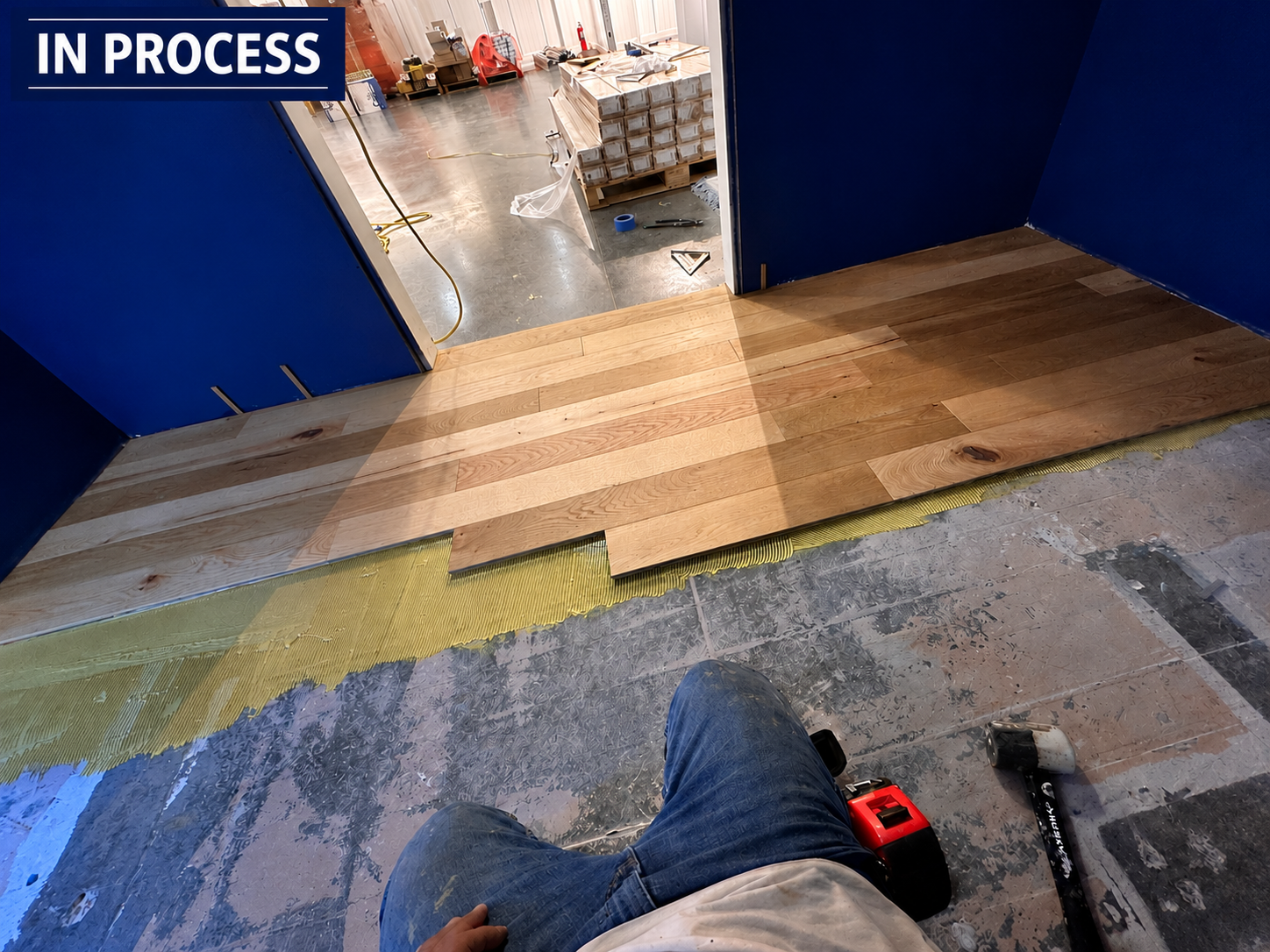 Proyecto en proceso